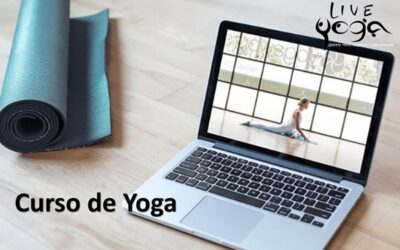 Módulo Introducción